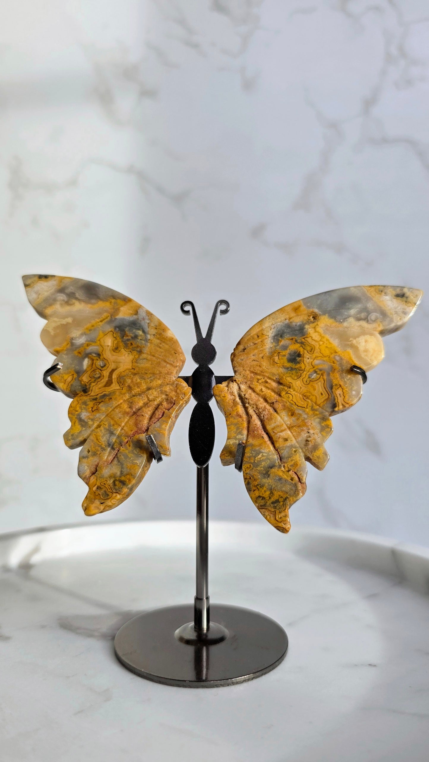 Crazy Laze Achat Schmetterling