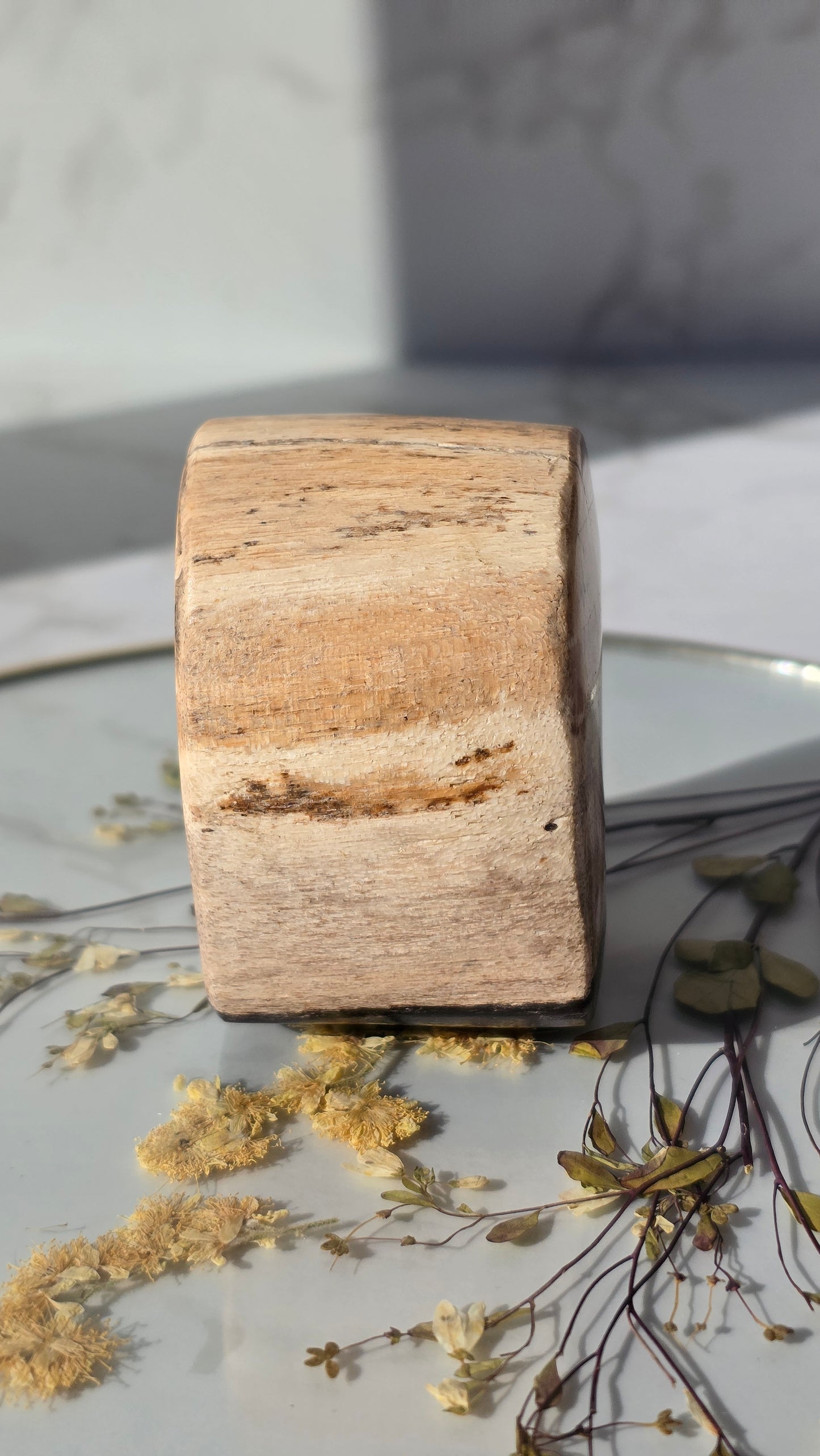 Versteinerte Holz