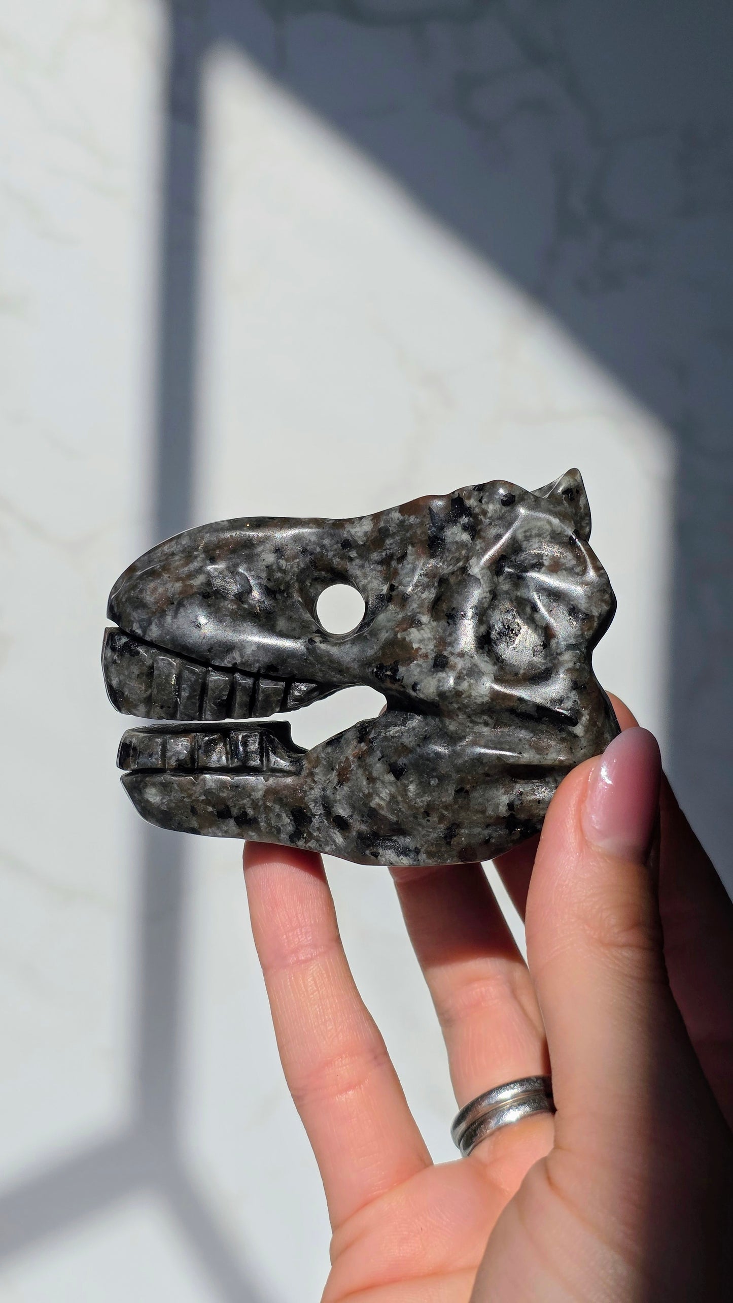 Yooperlit T-Rex (fluoresziert unter UV-Licht)