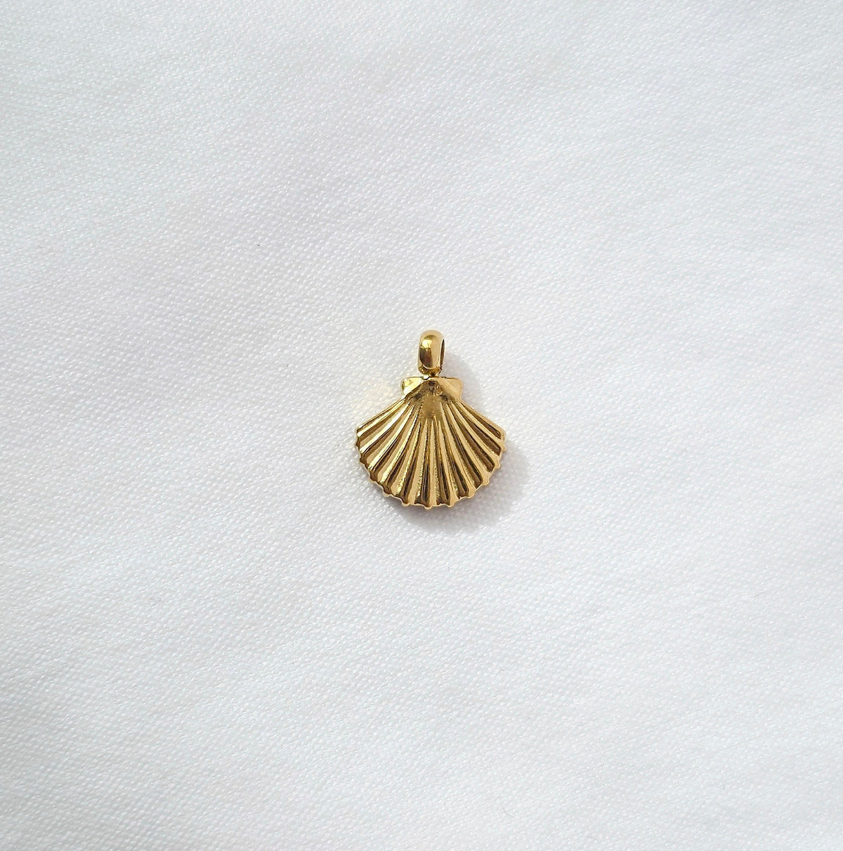 SMALL SHELL 𖦹 Charm