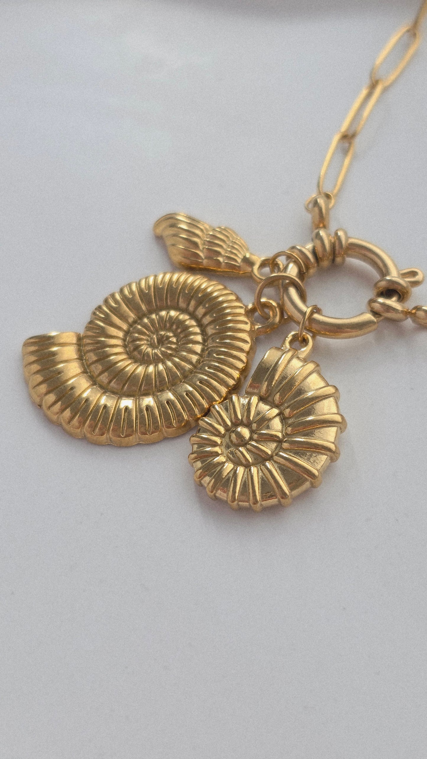 MARIS SHELL 𖦹 Charm