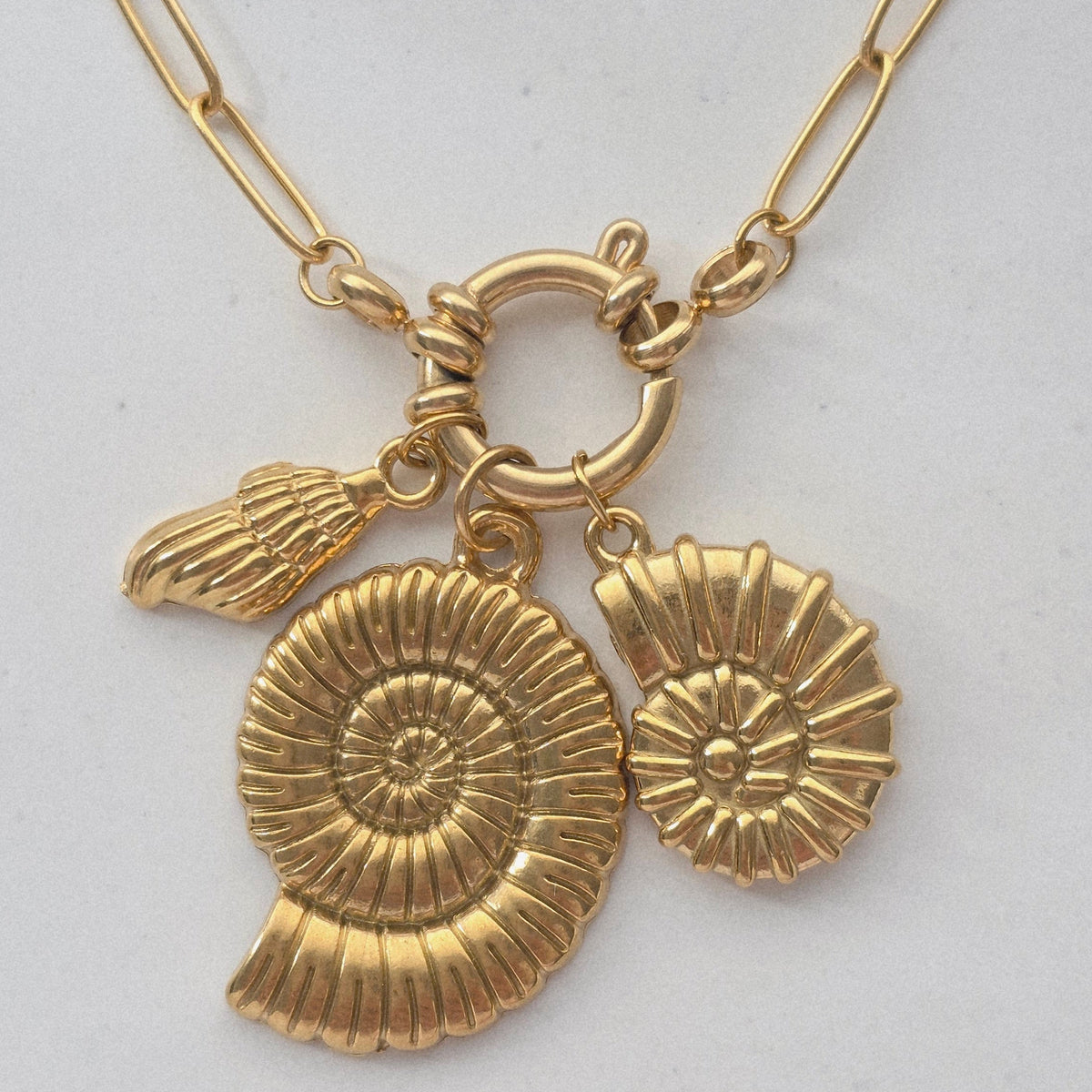 MARIS SHELL 𖦹 Charm
