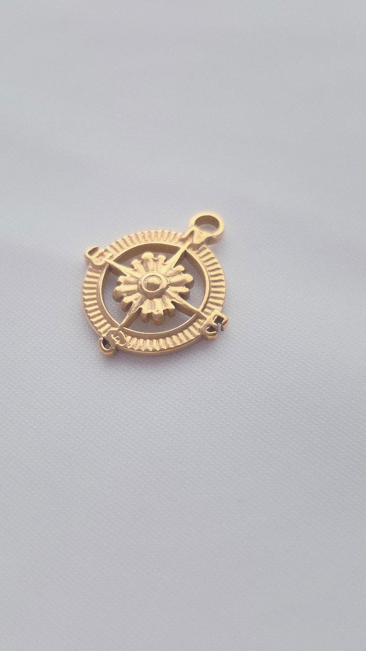 COMPASS 𖦹 Charm