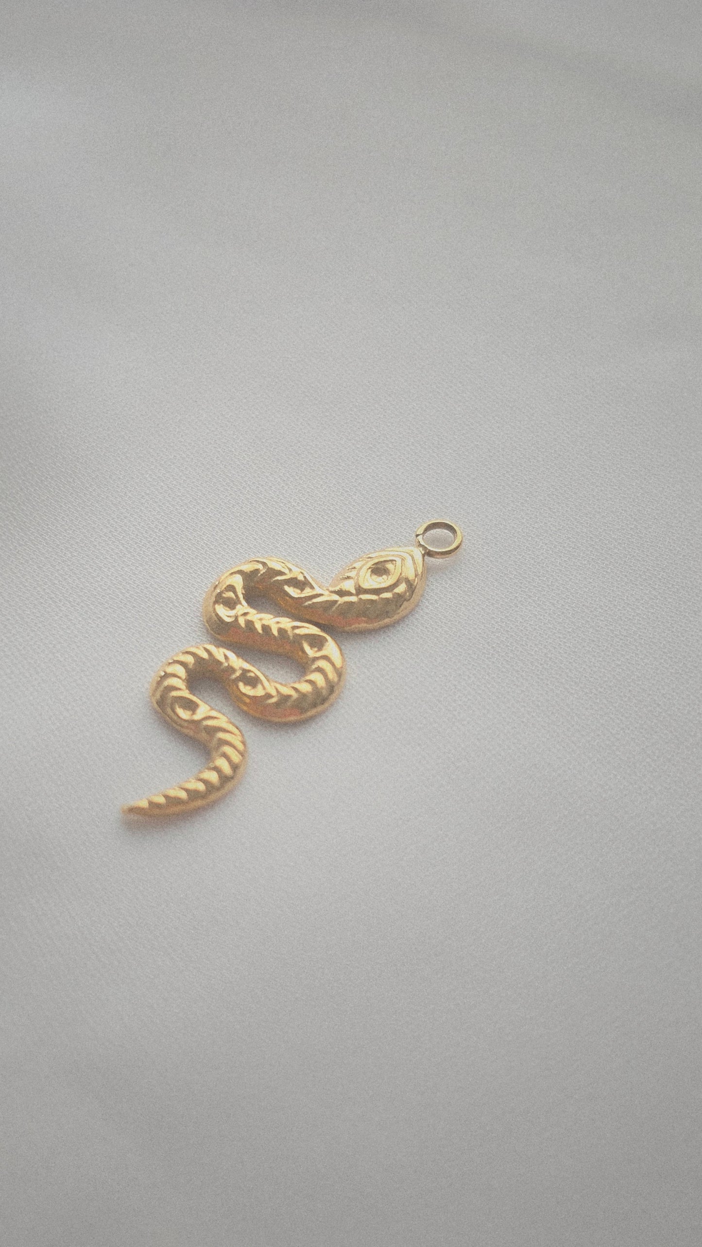 GOLDEN SERPENT 𖦹 Charm