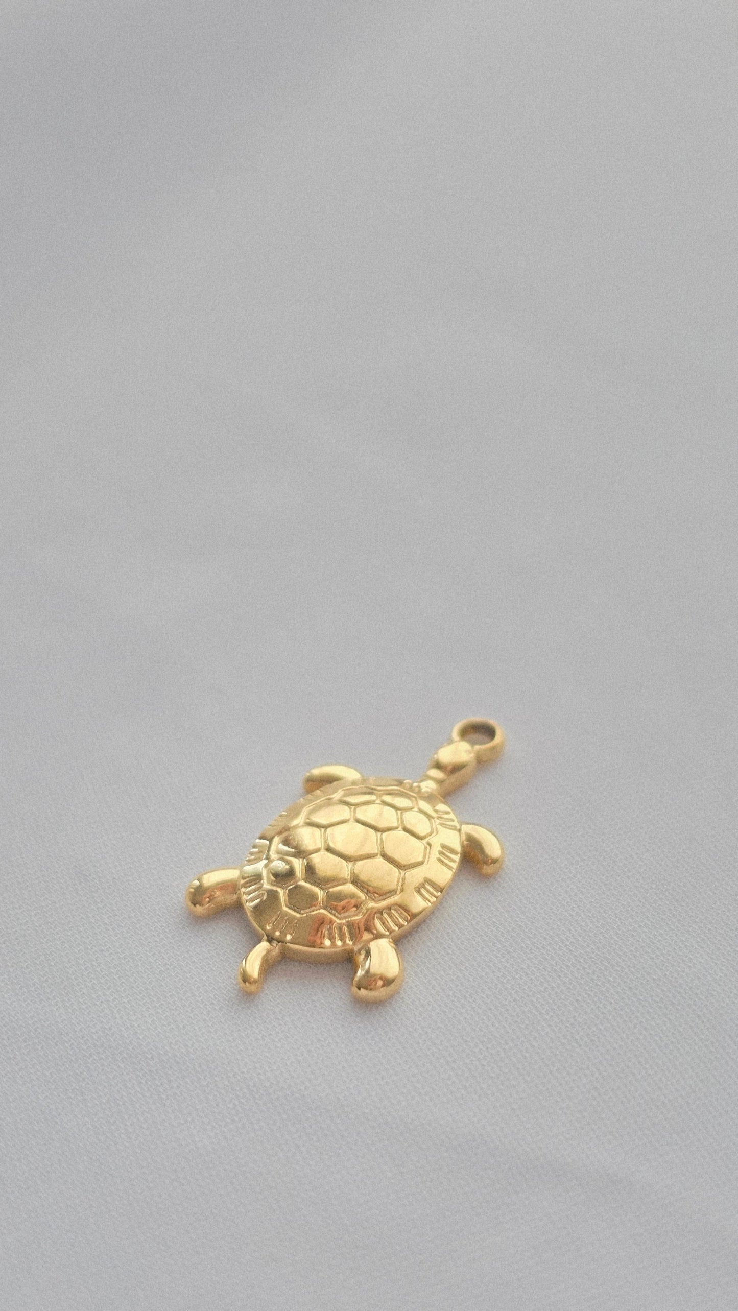 OCEAN TURTLE 𖦹 Charm