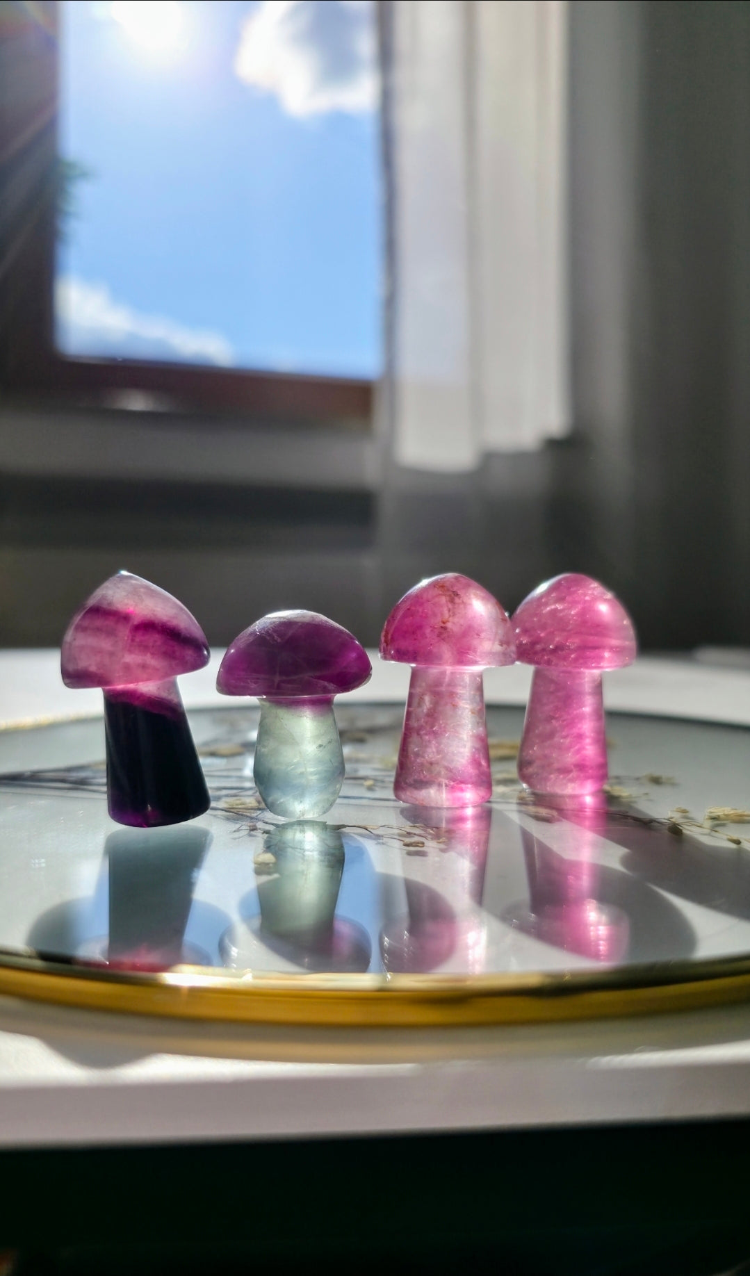 Fluorit Pilze (verschiedene Farben)