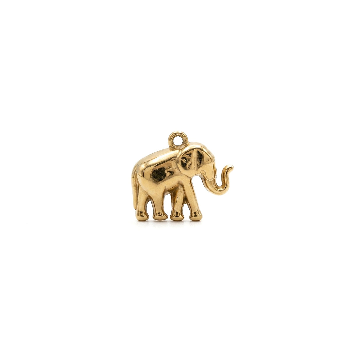 GOLDEN ELEPHANT 𖦹 Charm