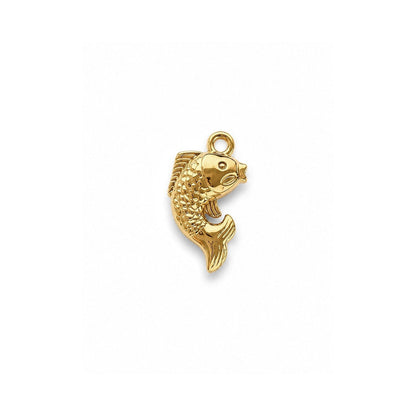 GOLDEN FISH 𖦹 Charm