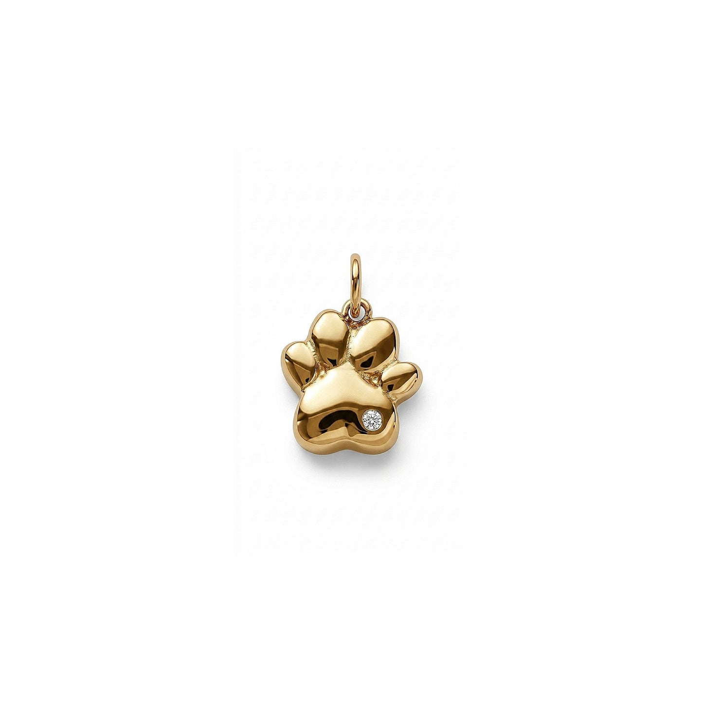 GOLDEN PAW 𖦹 Charm
