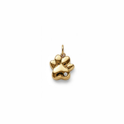 GOLDEN PAW 𖦹 Charm