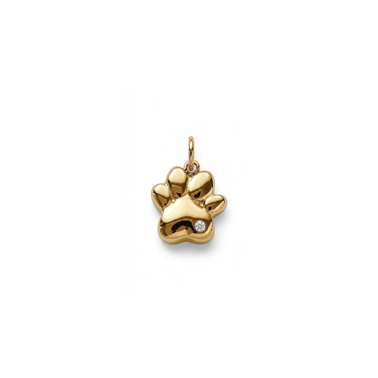 GOLDEN PAW 𖦹 Charm