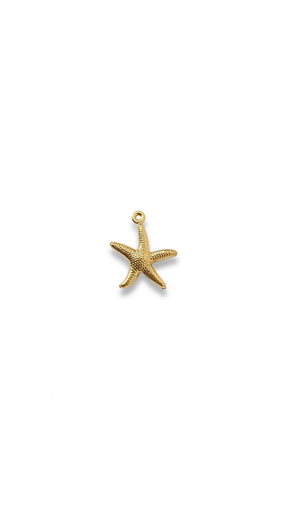 MARIS STAR 𖦹 Charm