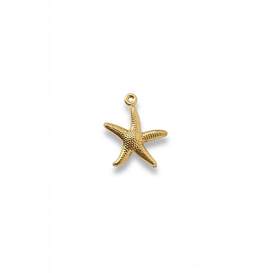 MARIS STAR 𖦹 Charm
