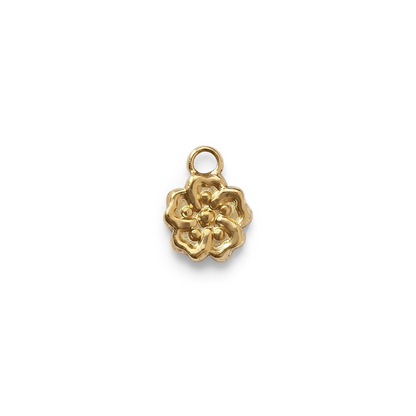 BLOOMIE 𖦹 Charm