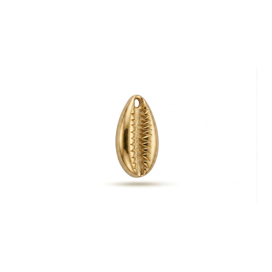 COWRIE 𖦹 Charm