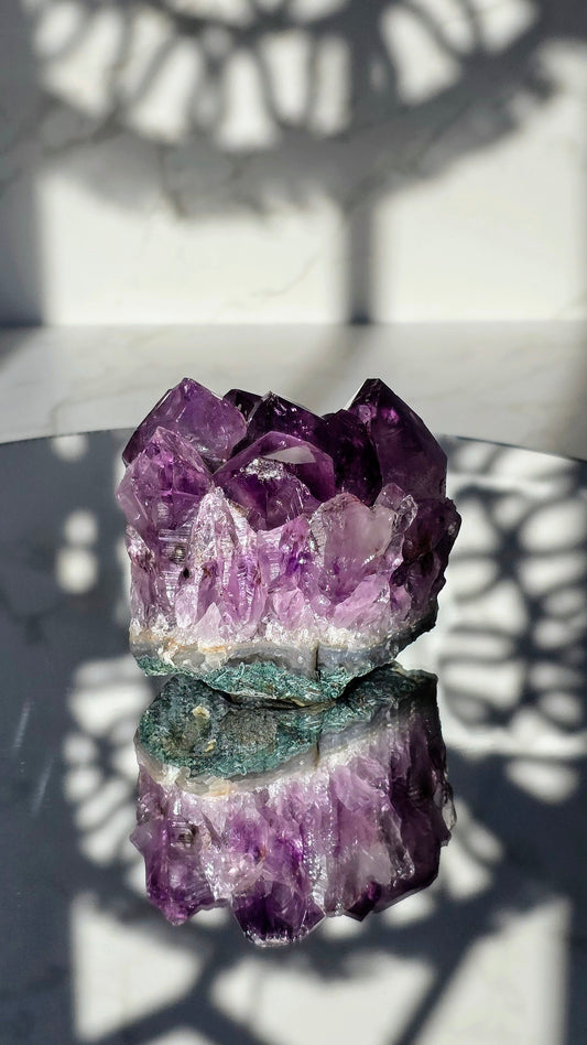 Amethyst Cluster mit XL Kristallen