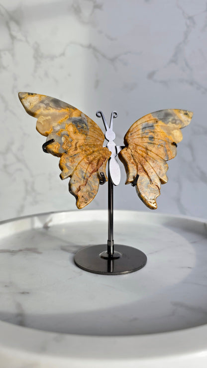 Crazy Laze Achat Schmetterling