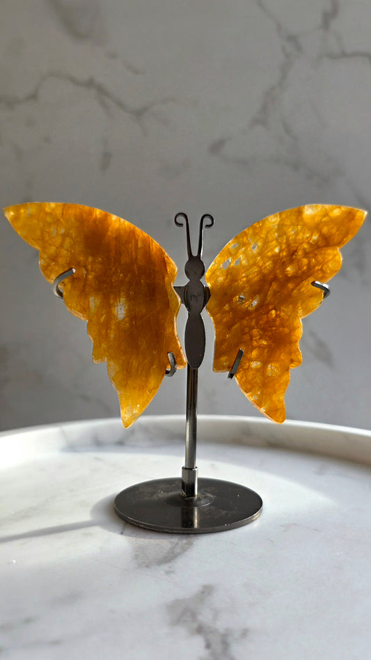 Golden Healer Schmetterling