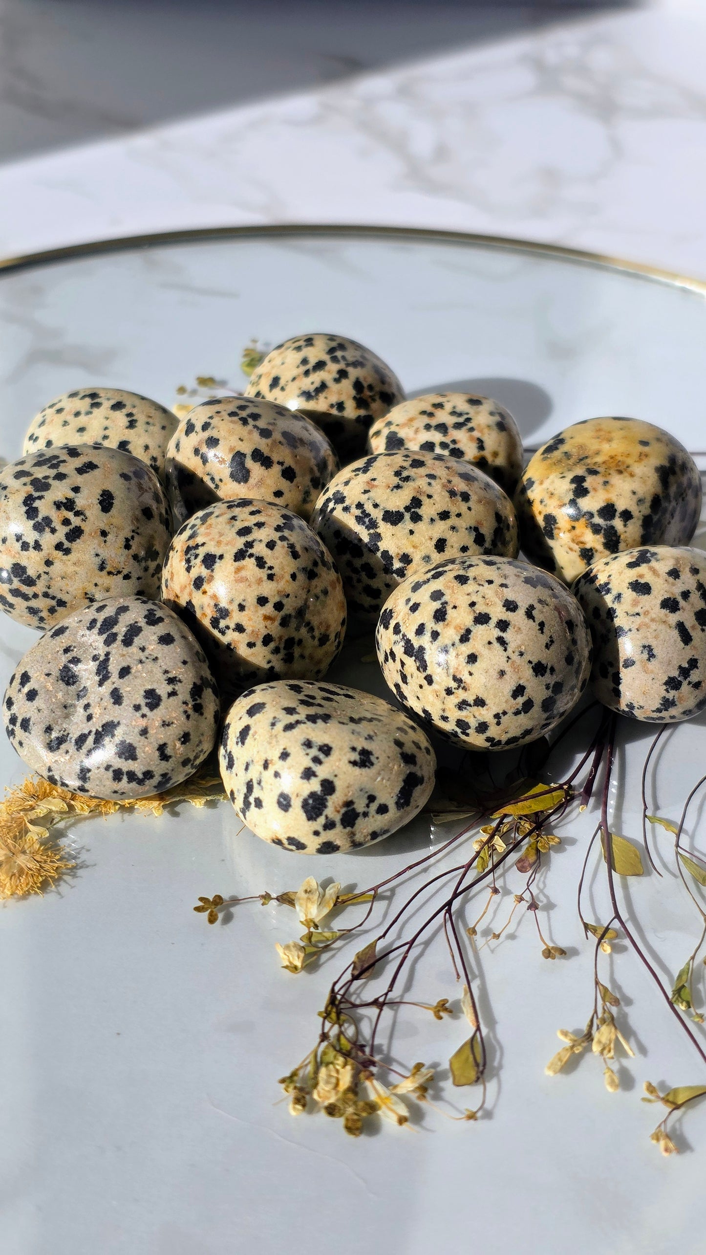 Dalmatinerjaspis Trommelsteine