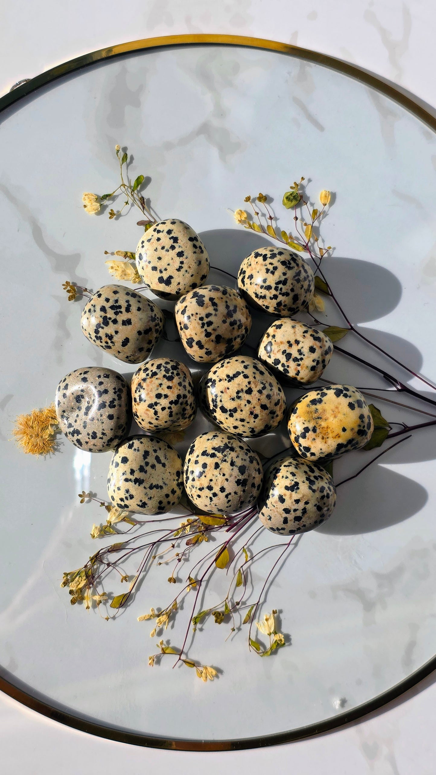 Dalmatinerjaspis Trommelsteine