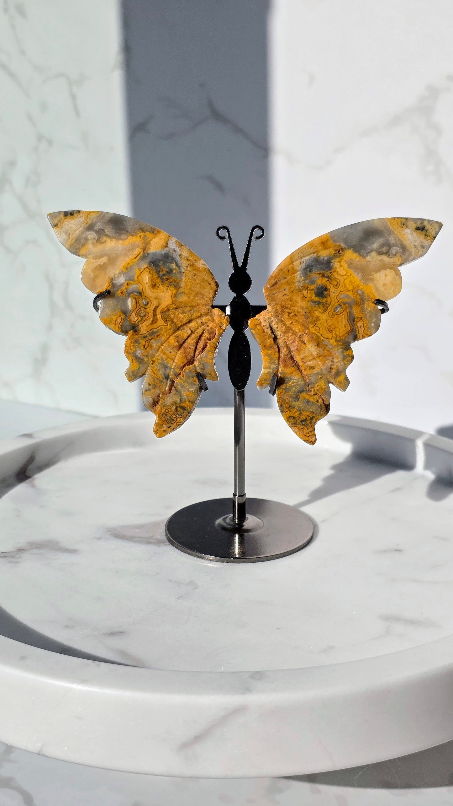 Crazy Laze Achat Schmetterling