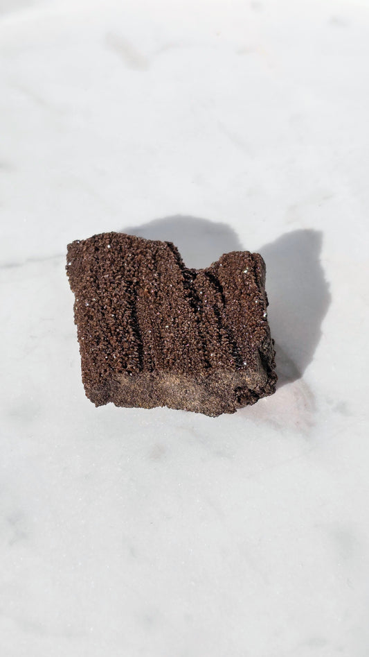 Feenholz (permineralisiertes, fossiles Holz)