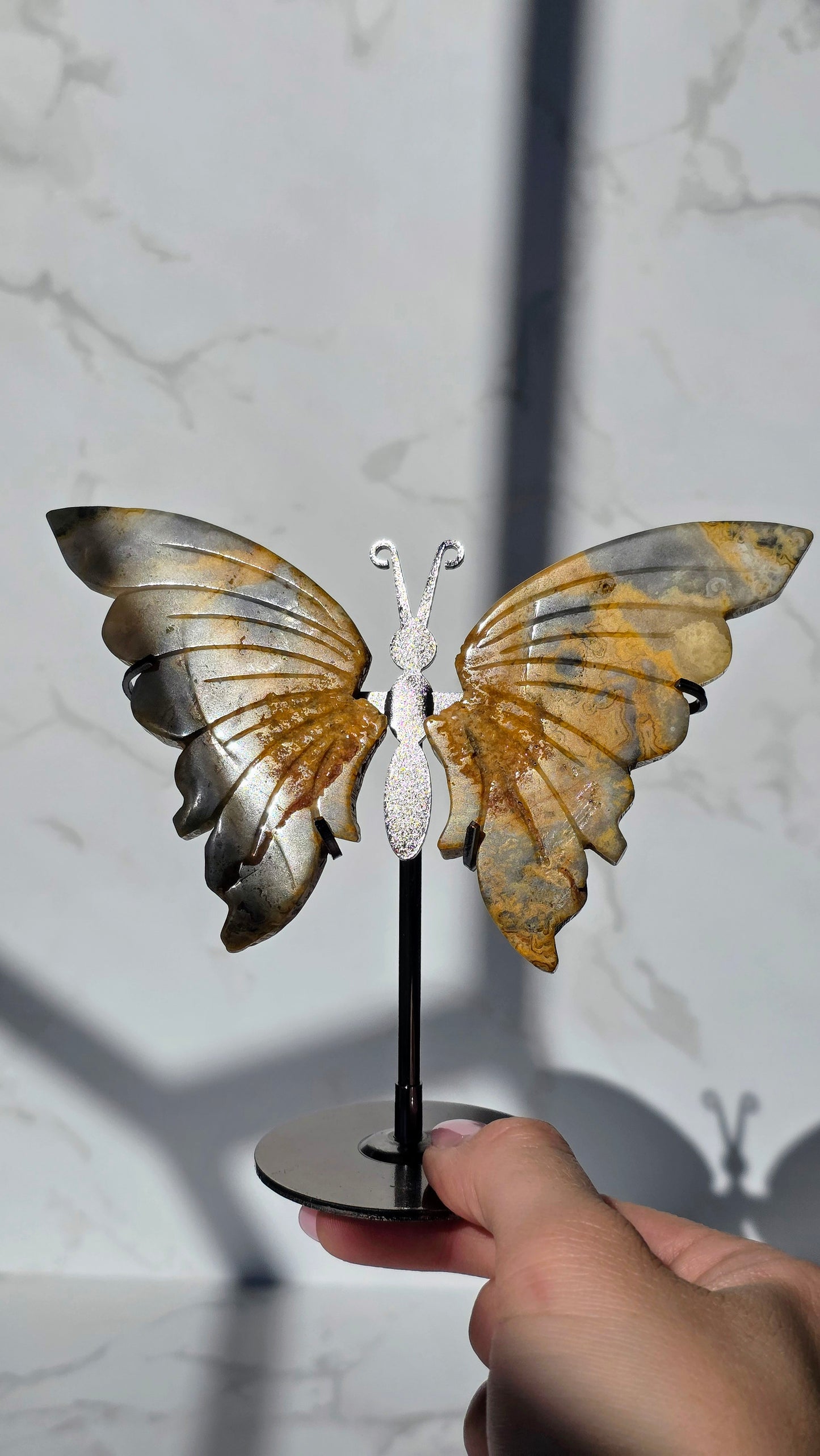 Crazy Laze Achat Schmetterling