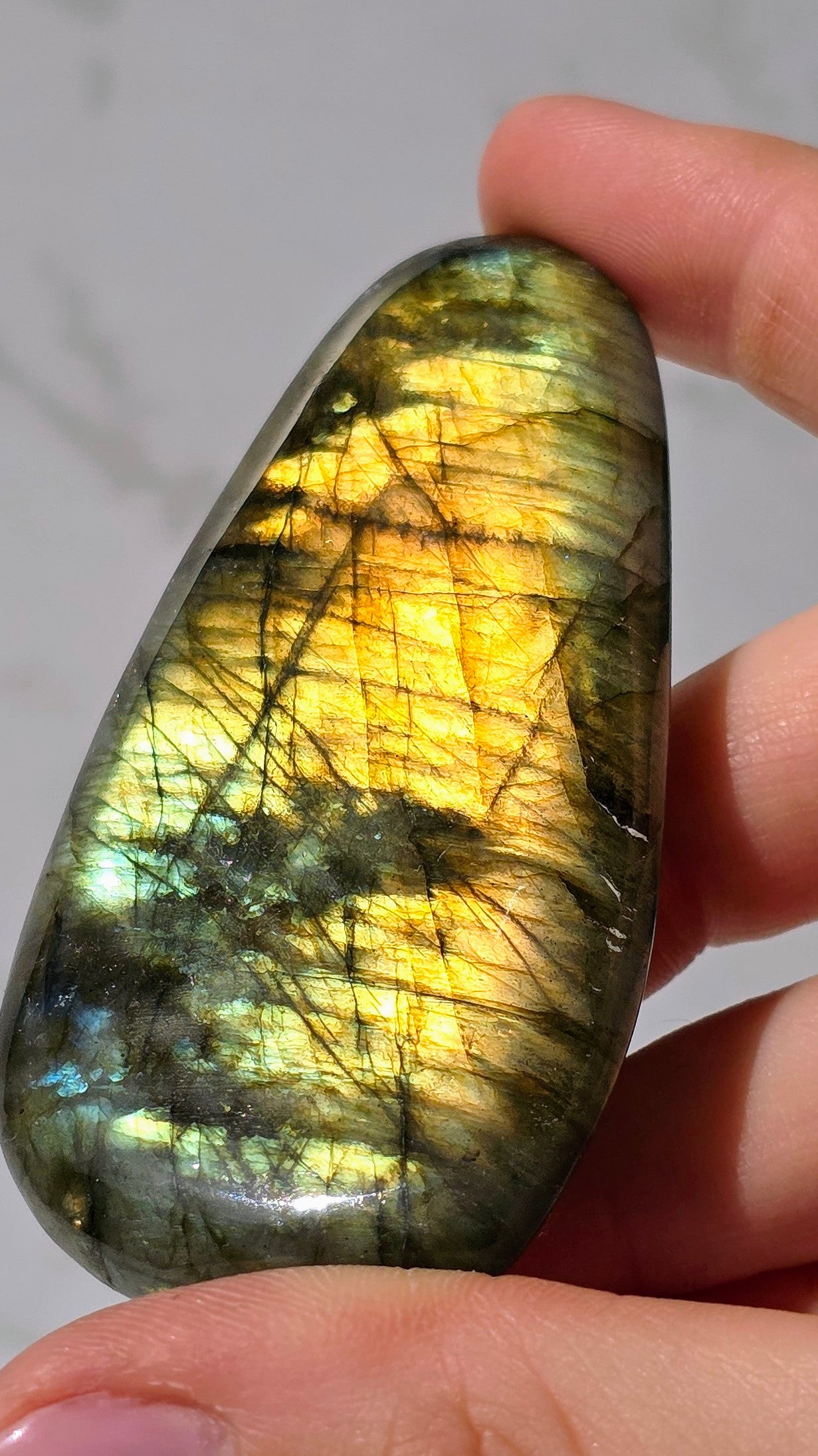 Bunt schillernder Labradorit Scheibenstein