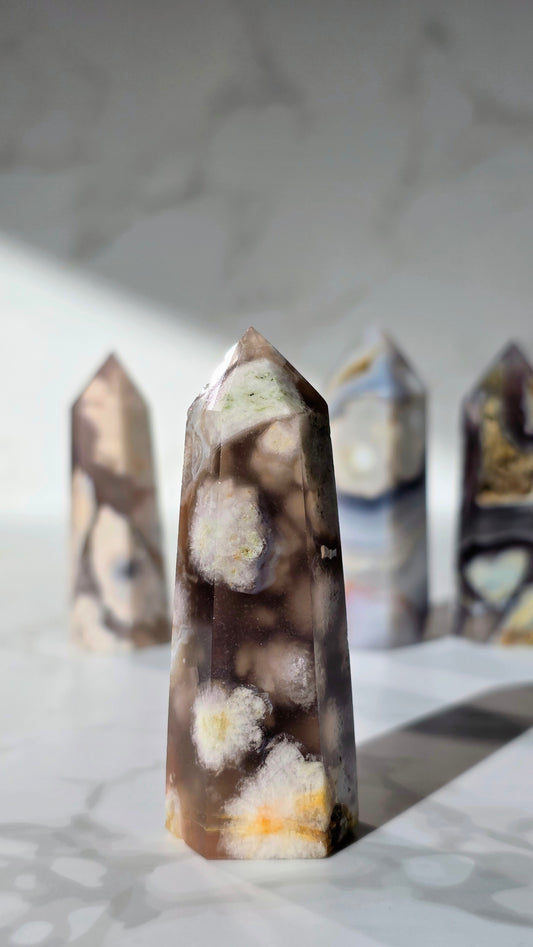 Kirschblütenchalcedon – Seltene Schönheit mit Blütenmagie in Grau & Schwarz