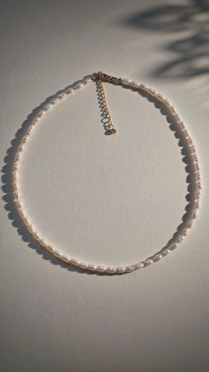 PURE PEARLS 𖦹 Süßwasserperlenkette