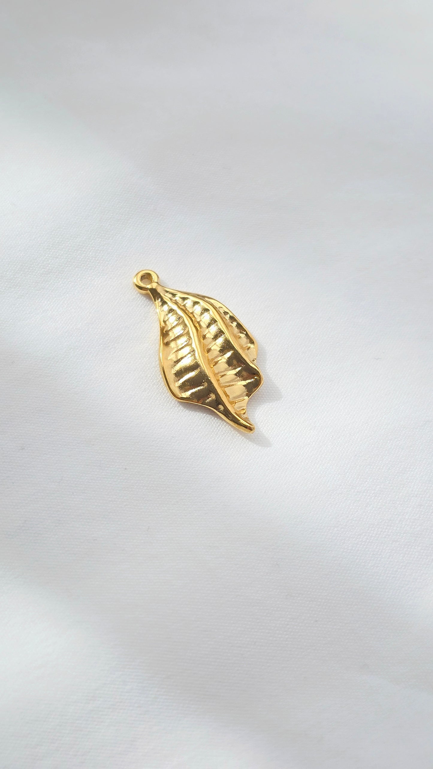 GOLDEN WING 𖦹 Charm