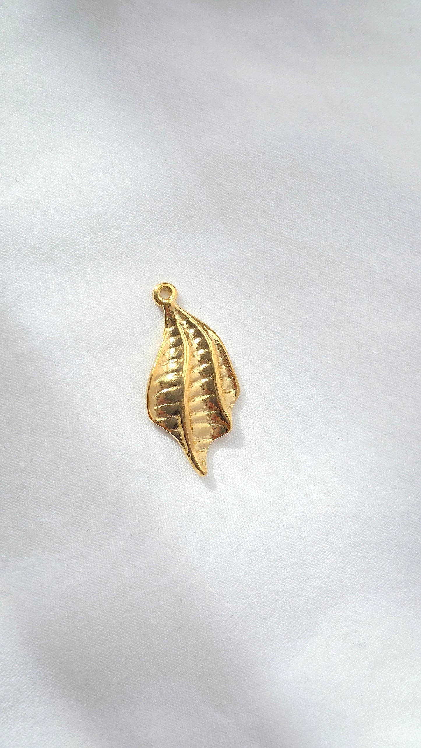 GOLDEN WING 𖦹 Charm