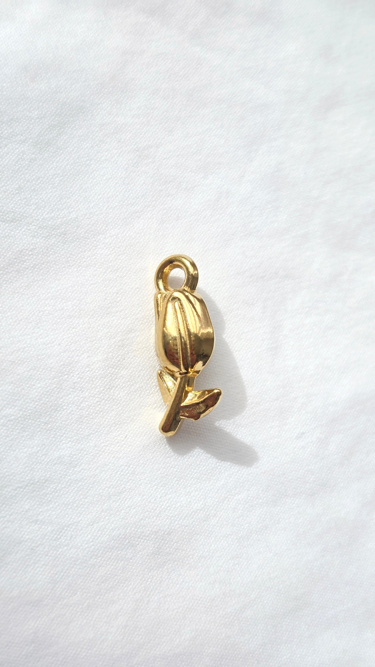 GOLDEN TULIP 𖦹 Charm
