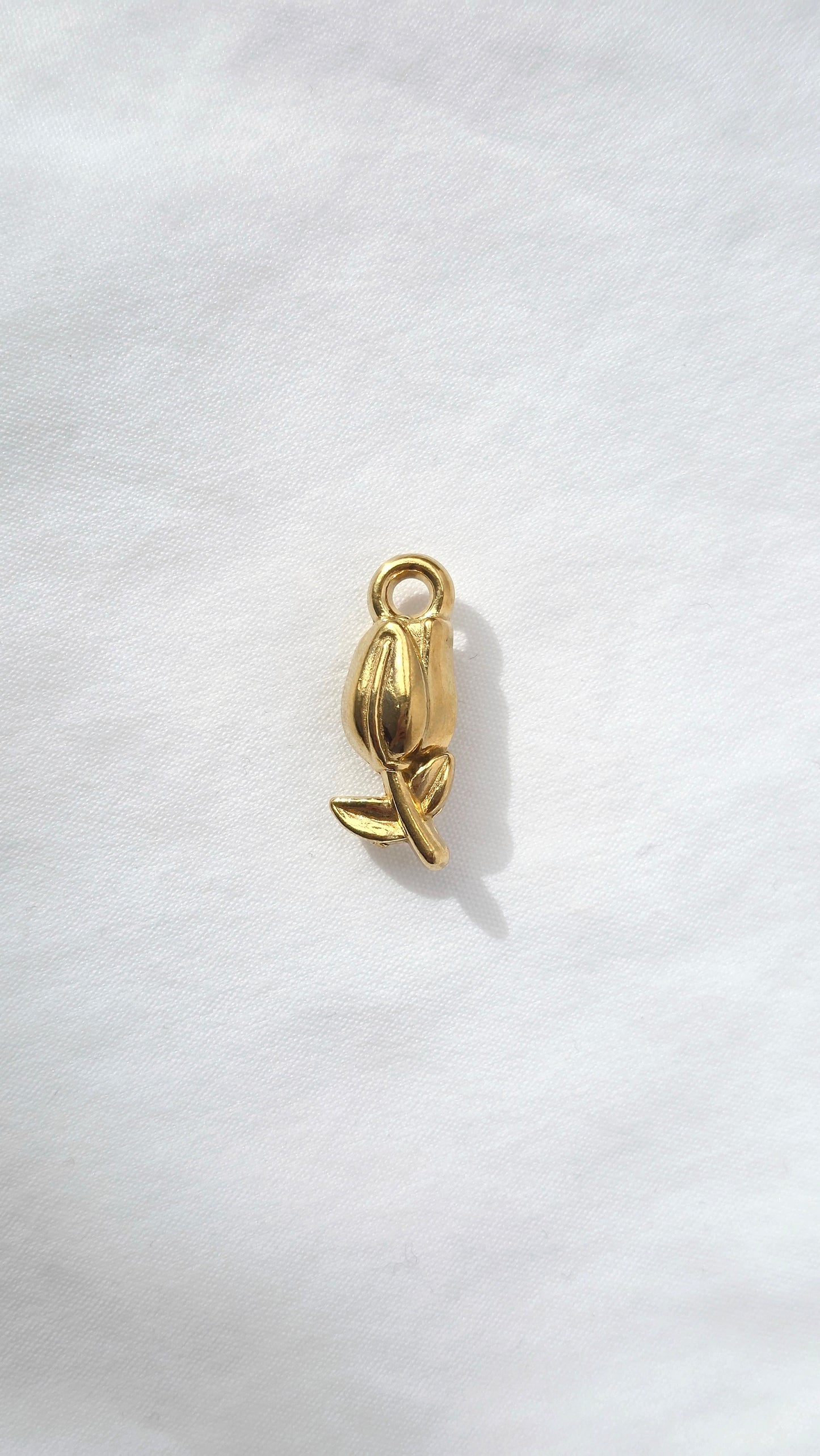 GOLDEN TULIP 𖦹 Charm