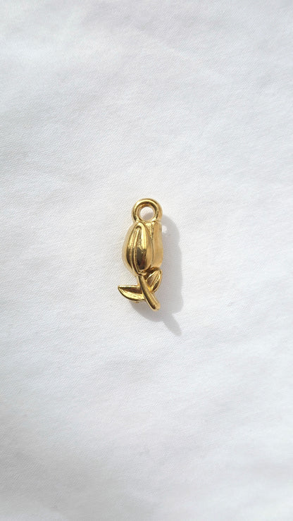 GOLDEN TULIP 𖦹 Charm