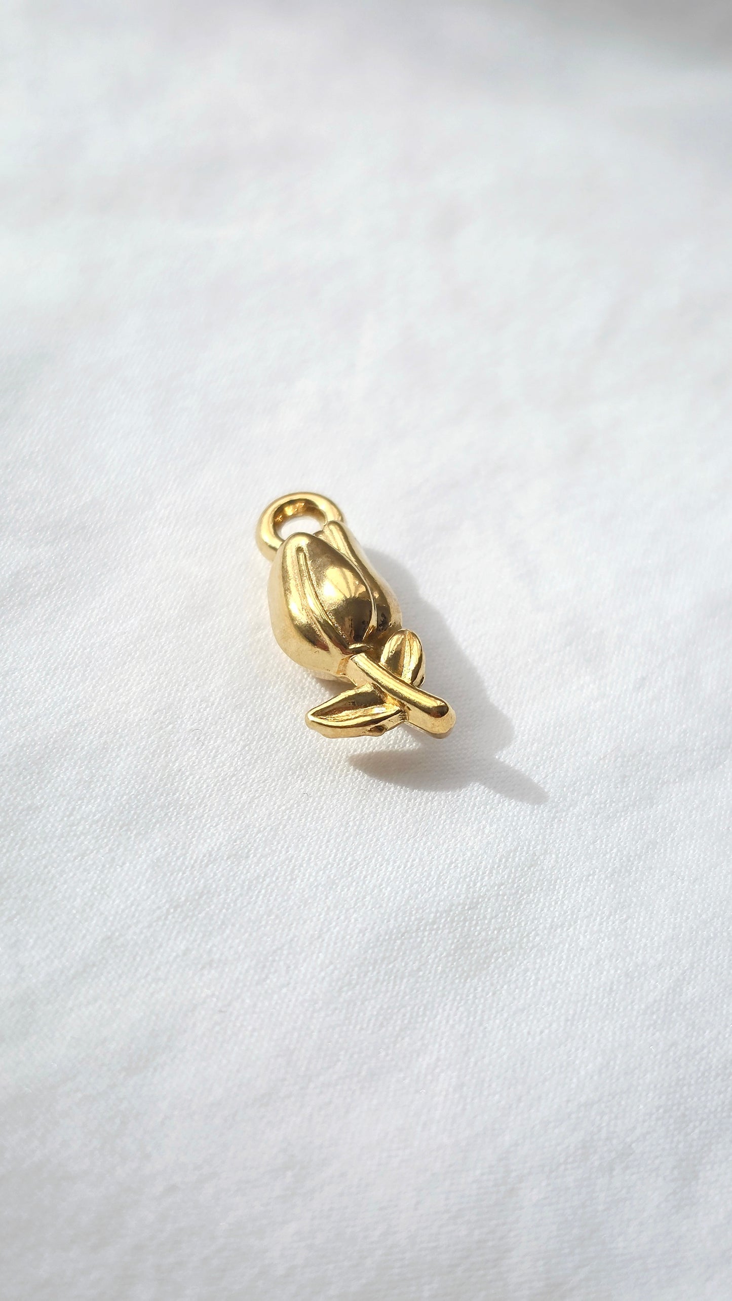GOLDEN TULIP 𖦹 Charm