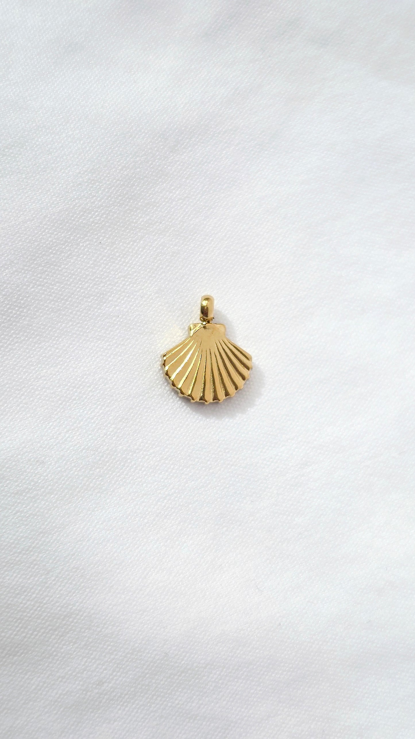 SMALL SHELL 𖦹 Charm
