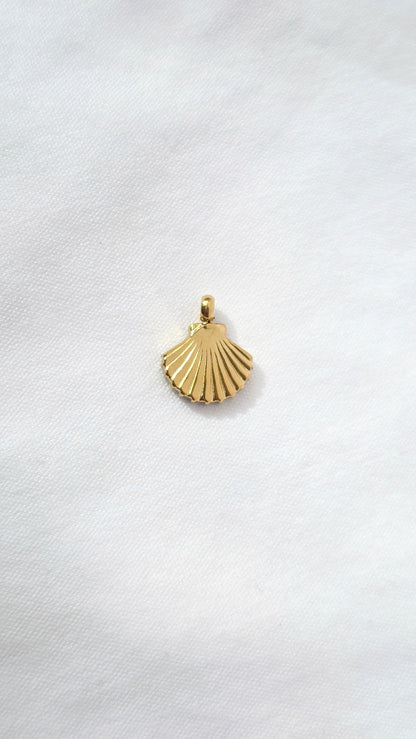 SMALL SHELL 𖦹 Charm