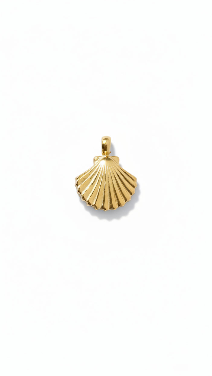 SMALL SHELL 𖦹 Charm