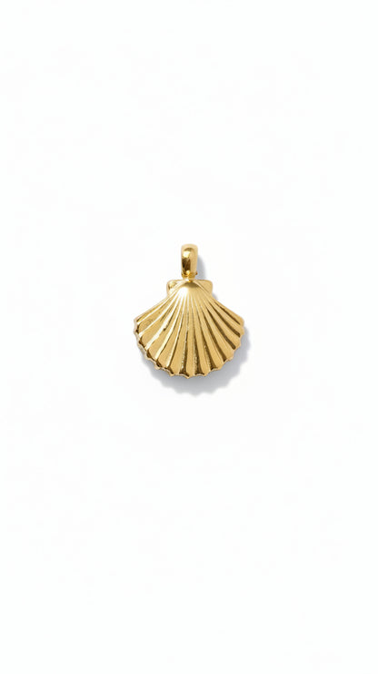 SMALL SHELL 𖦹 Charm