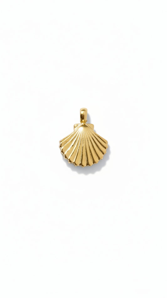 SMALL SHELL 𖦹 Charm