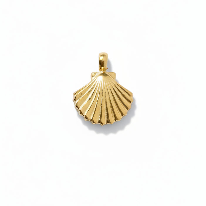 SMALL SHELL 𖦹 Charm