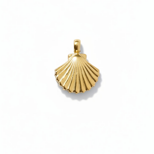 SMALL SHELL 𖦹 Charm