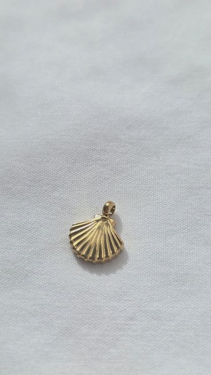 SMALL SHELL 𖦹 Charm