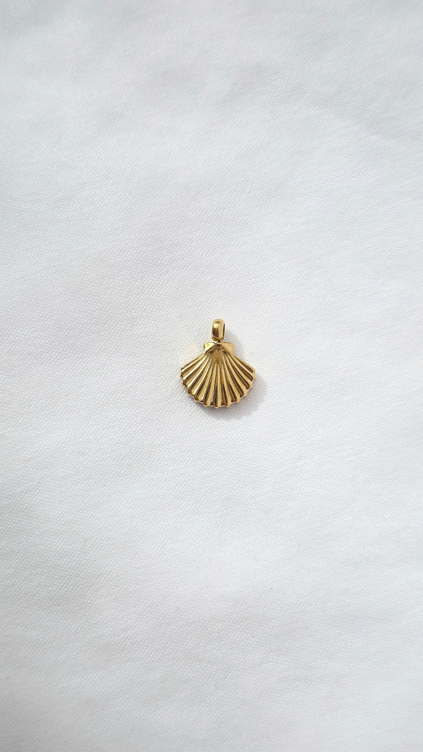 SMALL SHELL 𖦹 Charm