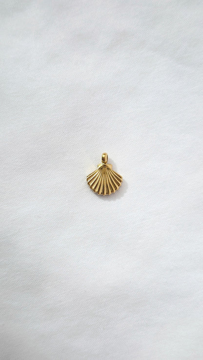 SMALL SHELL 𖦹 Charm