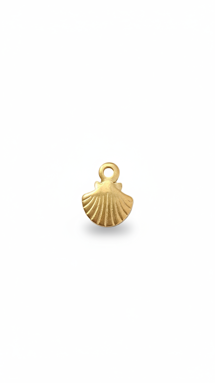 SOLARA SHELL 𖦹 Charm