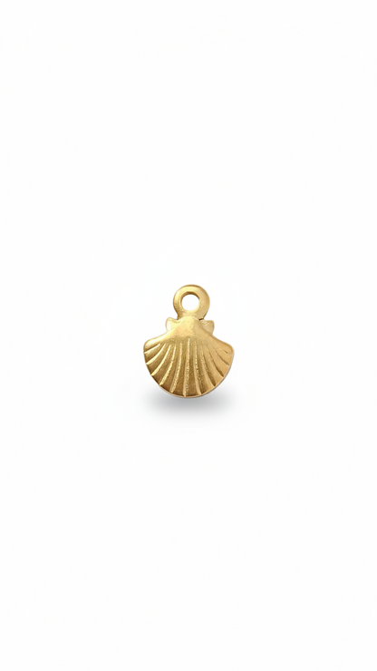 SOLARA SHELL 𖦹 Charm