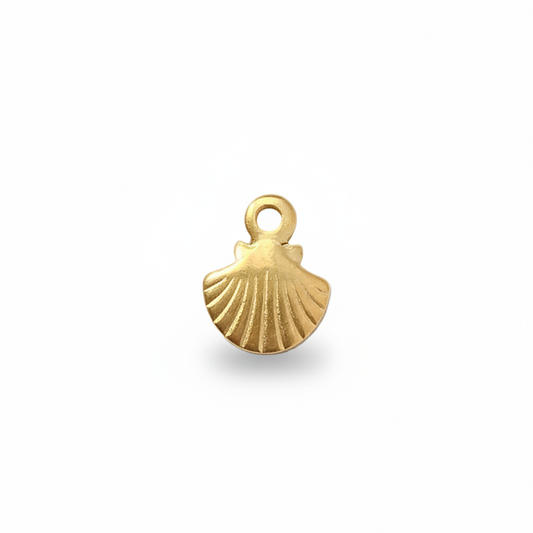 SOLARA SHELL 𖦹 Charm