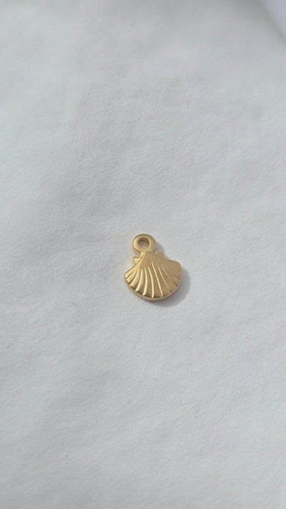 SOLARA SHELL 𖦹 Charm